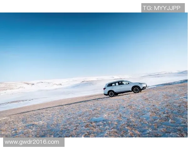 欧蓝德:从足球场到全球舞台的传奇之路与不凡成就 欧蓝德:从足球场到全球舞台的传奇之路与不凡成就