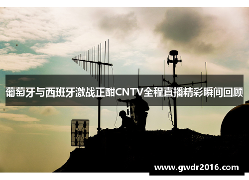 葡萄牙与西班牙激战正酣CNTV全程直播精彩瞬间回顾