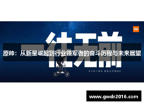 原帅：从新星崛起到行业领军者的奋斗历程与未来展望