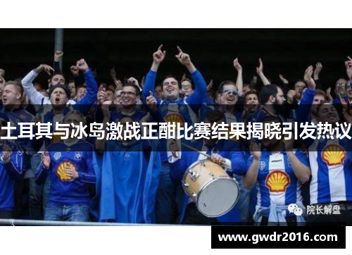 土耳其与冰岛激战正酣比赛结果揭晓引发热议
